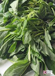 Fresh Spinach Vegetable Leaf Rich in Iron & Vitamins – 3lb Pack