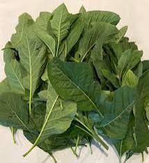 Fresh Bitter Leaf Washed & Ready for Cooking